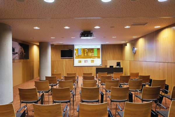 Hotel Balnea superior Terme Krka (Dolenjske toplice)